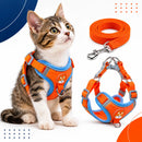 PawComfort™ Harness Set