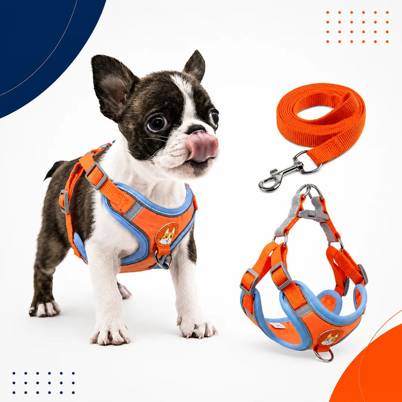 PawComfort™ Harness Set