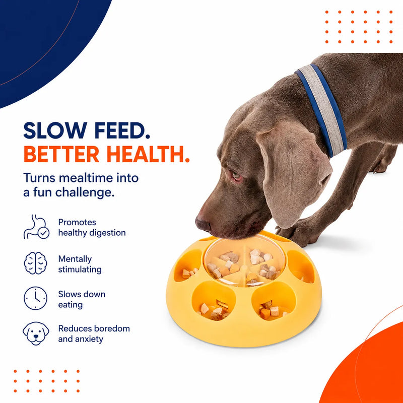 PawPuzzle™ Interactive Slow Feeder