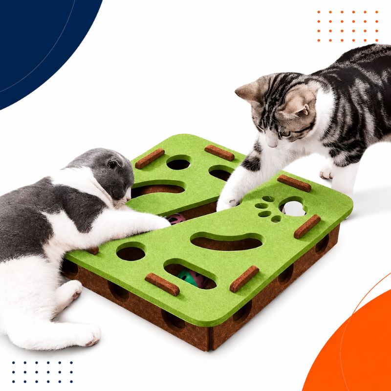 PurrPlay Box™ – Interactive Cat Activity Center