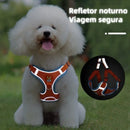 PawComfort™ Harness Set