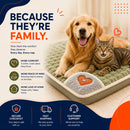 CloudPaws™ Orthopedic Pet Bed