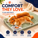 CloudPaws™ Orthopedic Pet Bed