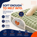 CloudPaws™ Orthopedic Pet Bed